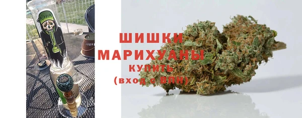 PSILOCYBIN Алексин