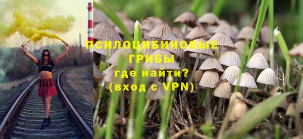 тгк Алзамай