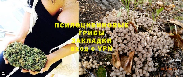PSILOCYBIN Алексин