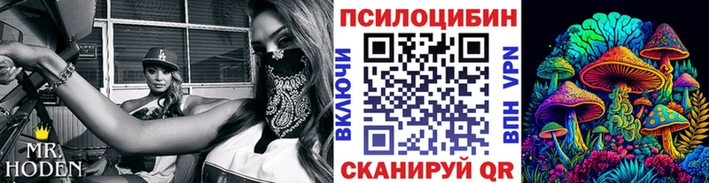 Галлюциногенные грибы Cubensis  OMG как зайти  Ардон  купить  